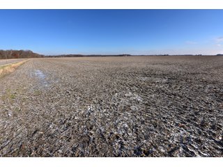 Property photo 48 - MAJOR, HIGH QUALITY LAND AUCTION - 346+/- ACRES OFFERED IN 8 TRACTS IN JACKSON COUNTY, INDIANA